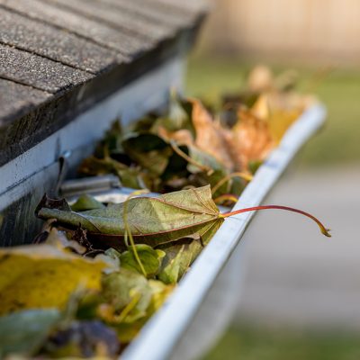 Gutters Full Of Leaves