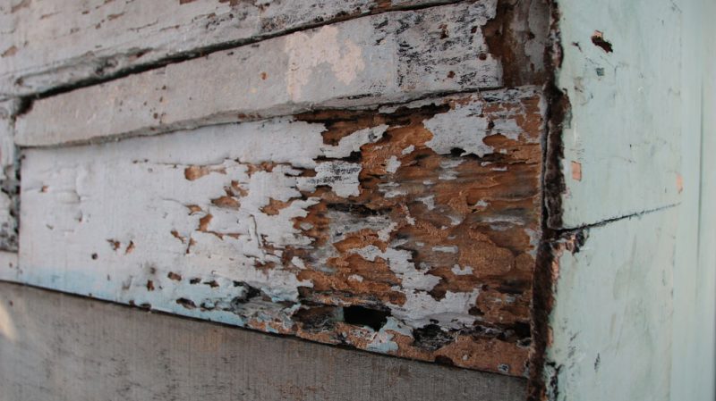 deteriorated siding