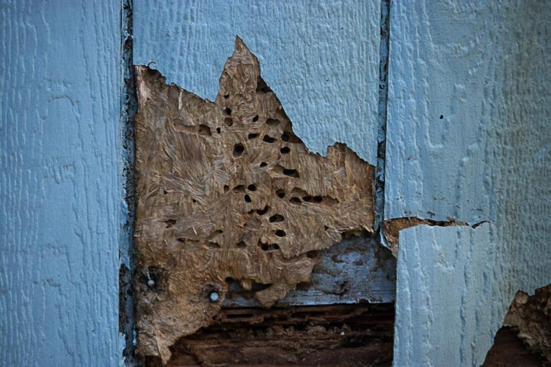 damaged siding