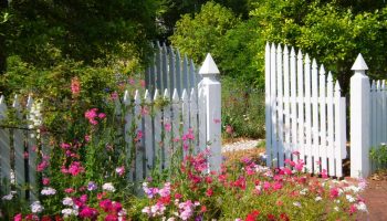 white picket fence