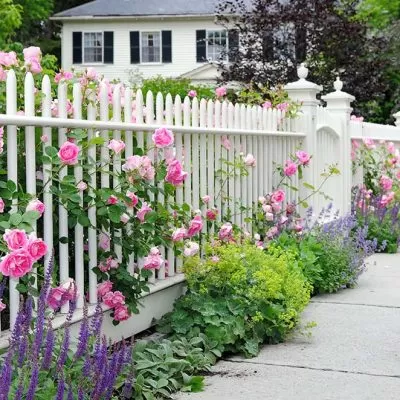 fence adds appeal